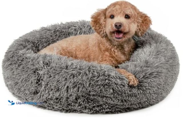 Lot 49-1558979 - Furhaven 30" Round Calming Donut Dog Bed for Medium/Small Dogs, Refillable w/ Removable Washable Cov...