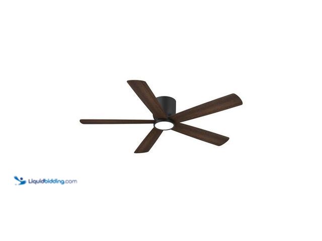 Lot 49-5454342 - Exclusive Home Decorators Collection
Britton 52 in. Integrated LED Indoor Matte Black Ceiling Fan w...