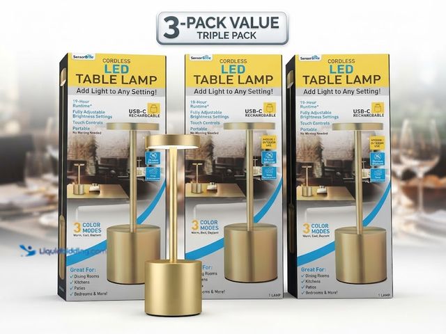 Lot 49-3618534 - 4-Pcs Cordless Rechargeable LED Table Lamp 10.6" Tall, Black, Model # 117224998527, New.  Ref#BIN070...