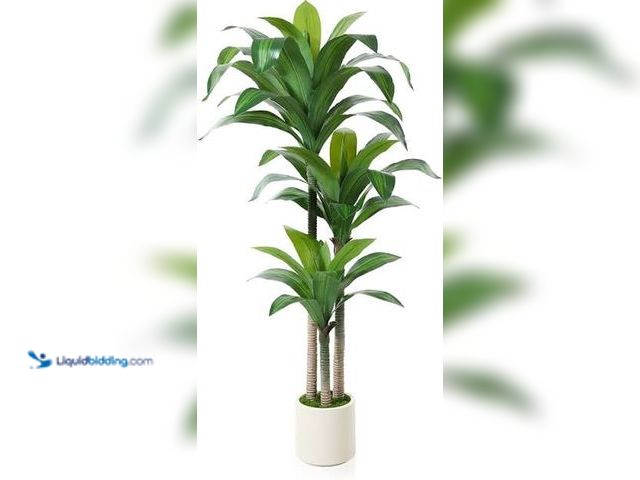 Lot 49-5551506 - Artificial Dracaena Tree 5 ft, Unused