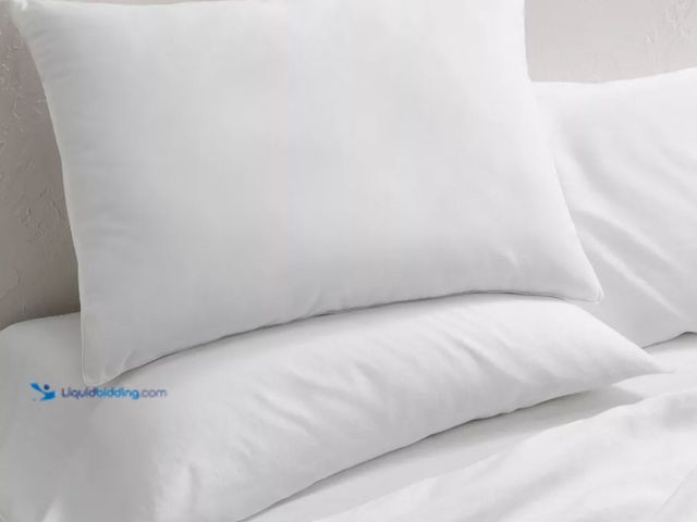 Lot 49-2001440 - Lot of (2) Casaluna Standard/Queen Medium/Firm Machine Washable Medium Down Alternative Pillow - Cas...
