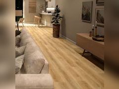 Lot 49-1540624 - undefined