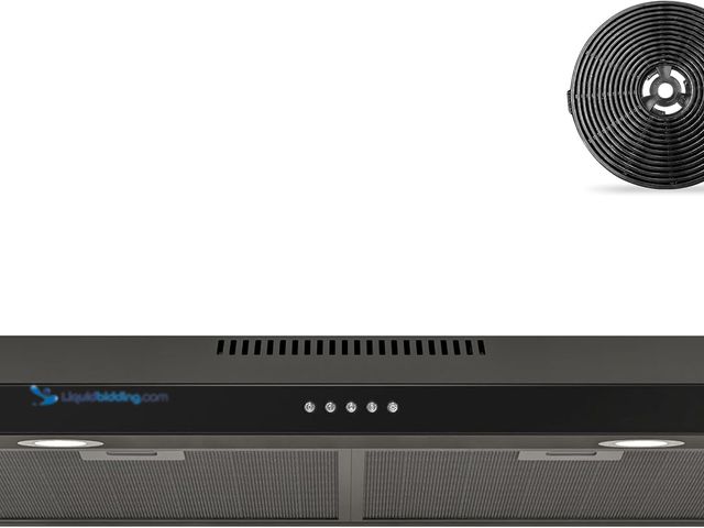 Lot 49-5463255 - FIREGAS Black Range Hood 30 Inch Under Cabinet, Ducted/Ductless Convertible Kitchen Hood, 300 CFM, 3...