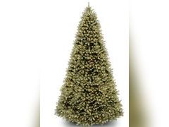 Lot 49-1548165 - undefined