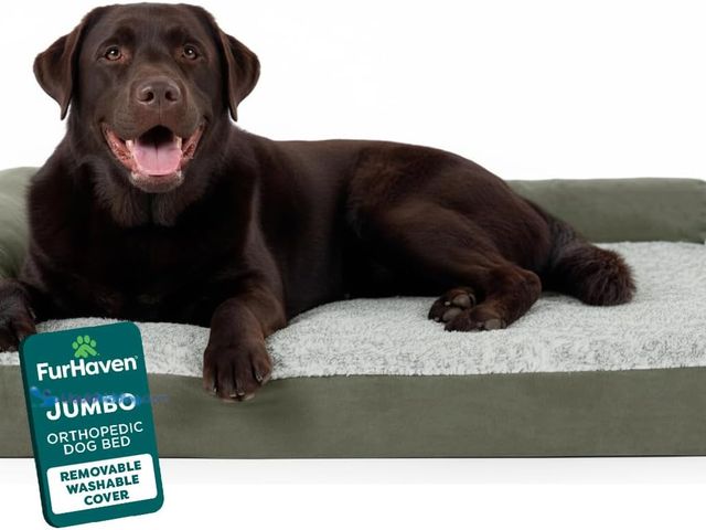 Lot 49-5553181 - FurHaven Orthopedic Dog Bed for Large Dogs, L-Shaped Chaise Mattress with Orthopedic Egg Crate & Sol...