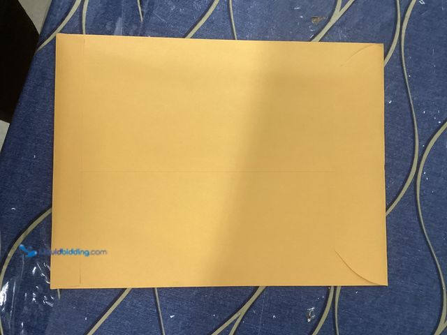 Lot 49-5490232 - Lot of 2 Random Alpha Flight Comics LBC45