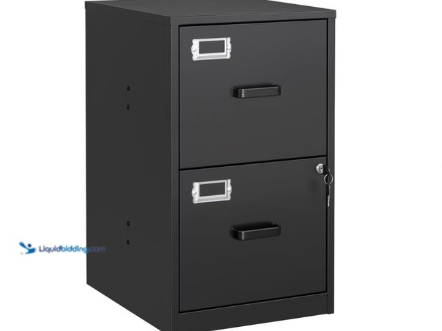 Lot 49-1555643 - STANI 2 Drawer Filing Cabinet with Lock, Metal Vertical File Storage Cabinets for Home Office, Lette...