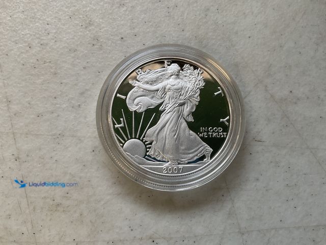 Lot 49-1830012 - 2007 SILVER EAGLE 1 OZ FINE SILVER DOLLAR #COINS0219
