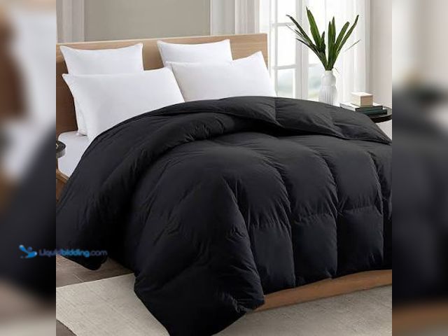 Lot 49-5545437 - Essuie Tout Comforter, Unused