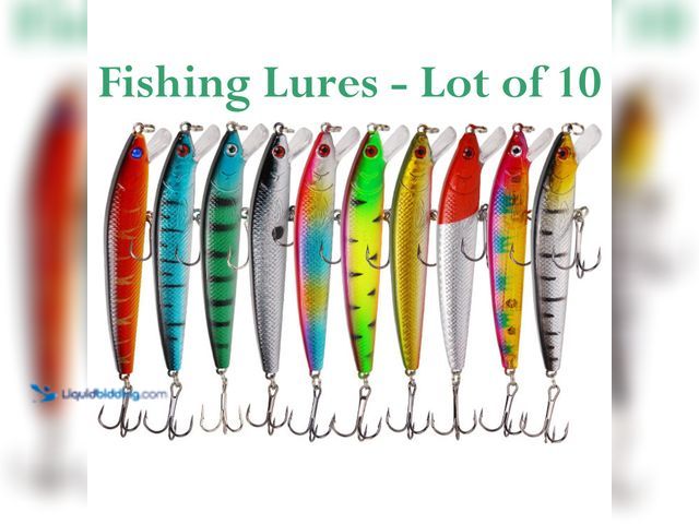 Lot 49-5492874 - Fishing Lure 10 Piece Set 3.97" 9g Various Colors - NEW - Includes 10 Different Crank Bait Lures in ...
