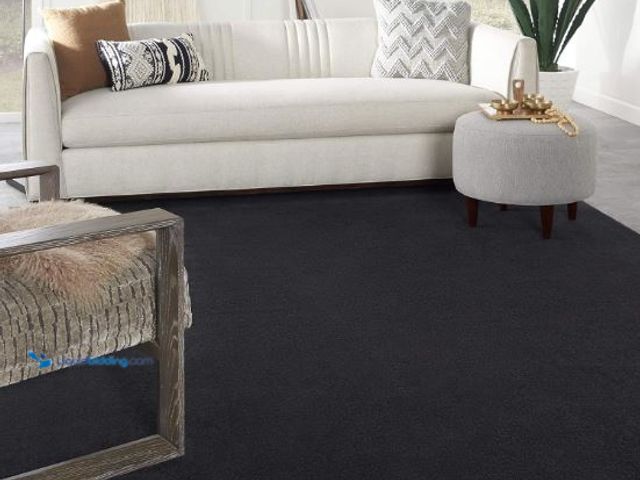 Lot 49-3432094 - Black 6' x 10' Area Rug - Easy Clean, Non Shedding, Bed Room, Living Room, Dining Room, Kitchen (6' ...