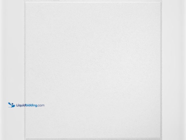 Lot 49-3510921 - Armstrong CEILINGS
YUMA White 2 ft. x 2 ft. Tegular Ceiling Tile (64 sq. ft./case) New