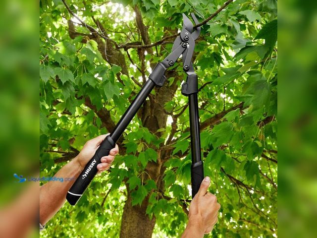 Lot 49-1548576 - Husky 28 in. Bypass Lopper. Model # Husky-1. Used.  Ref#ASB1024