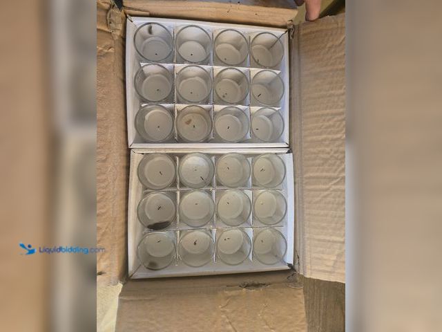 Lot 49-1805586 - 1 case New YUMMI case of 72  white votive candles in glass. NEW
Brand : YUMMI
count 72