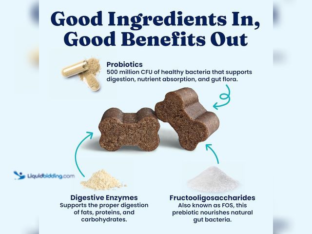 Lot 49-5483972 - QTY 2 - Solid Gold Dog Probiotics for Digestive Health - Probiotics for Dogs with Fiber & Digestive ...