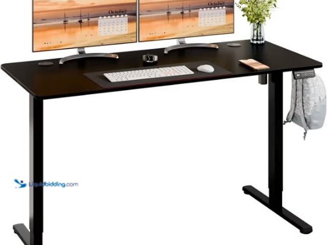 Lot 49-5552755 - Walsunny Electric Standing Desk, Height Adjustable Desk 55" x 24" Ergonomic Stand Up Desk with Elect...