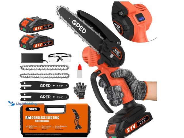 Lot 49-1622974 - GPED Mini Chainsaw, 6 inch Portable Electric Chainsaw Cordless, Handheld Chain Saw Pruning Shears Ch...