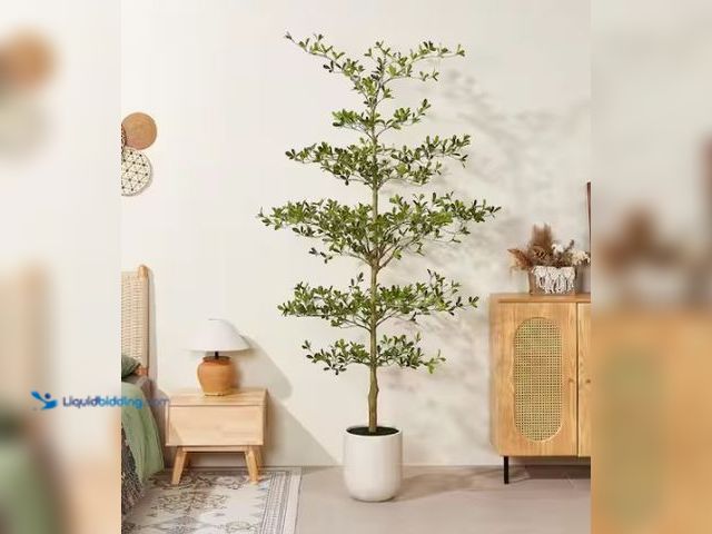 Lot 49-5574234 - DR.Planzen
Artificial 8 ft. Black Olive Tree with White Planter Faux Olive Trees. Model # ZC-HGLSZU...