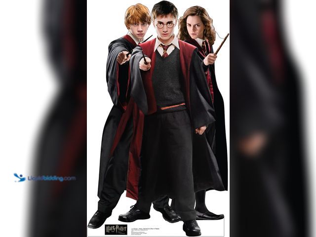 Lot 49-5435732 - Cardboard People Harry, Hermione & Ron in Robes Life Size Cardboard Cutout Standup - Harry Potter an...