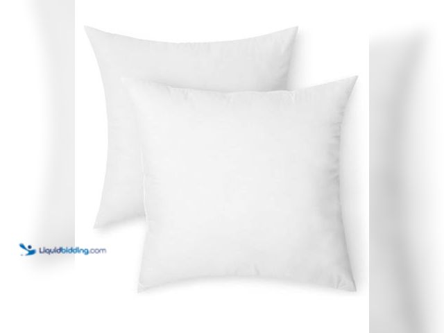 Lot 49-1569723 - Square Hypoallergenic Pillow Insert, Sofa Bed Couch Decorative Stuffer, 26", 2 Pack, Model # B0F8N9V...