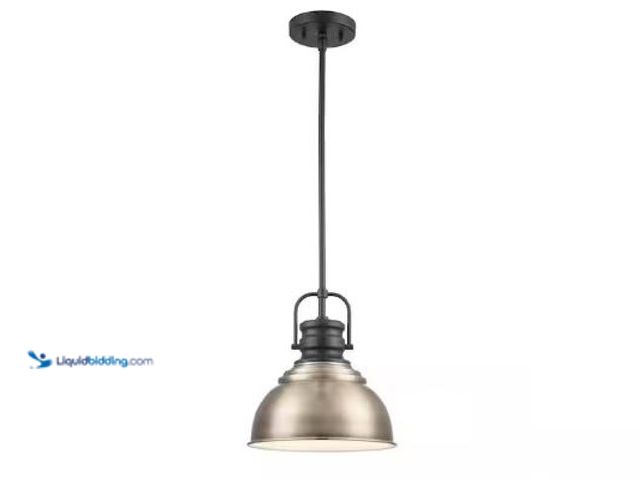Lot 49-1517369 - Home Decorators Collection
Shelston 10 in. 1-Light Antique Gold and Black Farmhouse Pendant Light F...