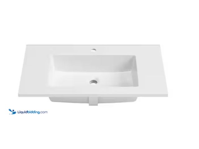 Lot 49-1575544 - DELUXE DL LIVING 31 in. W x 19 in. D Engineered Solid Surface White Rectangular Single Sink Bathroom...
