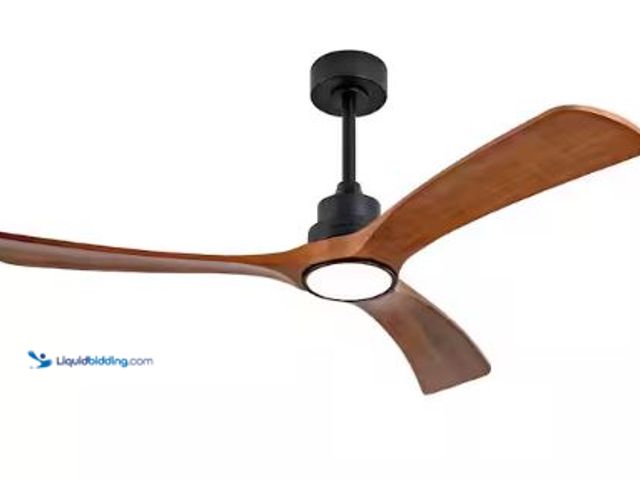 Lot 49-1625391 - Byteany 52 in. Indoor Black Downrod Mount Standard Ceiling Fan with 3 Solid Wood Blades, DC Motor, R...