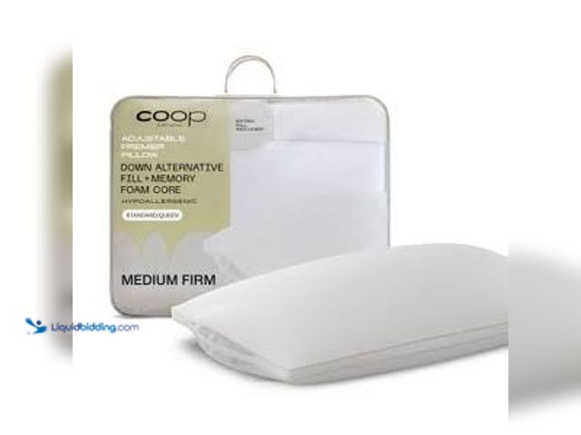 Lot 49-5543875 - Coop Home Goods Coop Home Goods Medium The Premier Customizable Pillow,