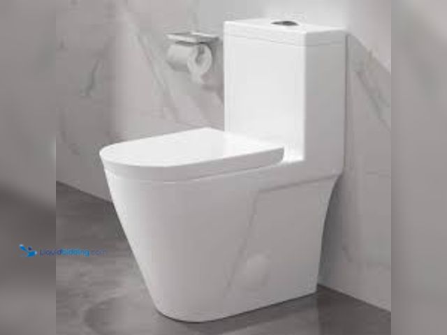 Lot 49-5473655 - Eridanus Turner One-Piece 1.1/1.6 GPF Dual Flush Siphon Elongated Toilet in White. Model # ERI-1T365...