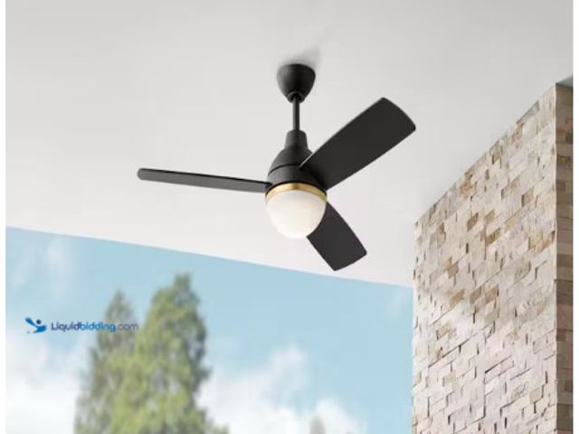 Lot 49-3631344 - Hampton Bay Blaketon 46 in. Indoor/Covered Outdoor Matte Black Modern Ceiling Fan with Integrated LE...