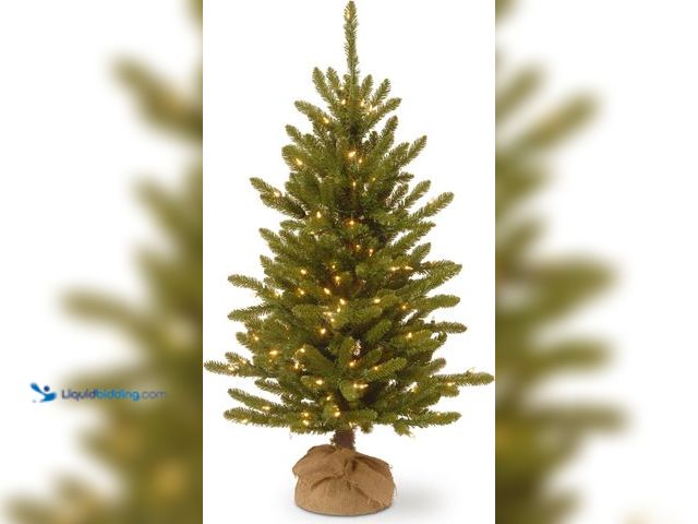 Lot 49-5447544 - National Tree Company Pre-lit Artificial Mini Christmas Tree | Includes Small Lights and Cloth Bag B...
