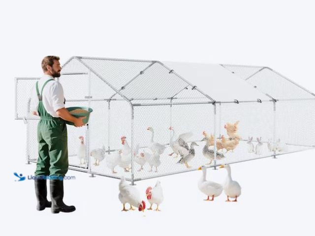 Lot 49-1630722 - Garvee 10-ft x 20-ft Metal Walk-In Chicken Coop Poultry Cage with Spire Roof for 40-50 Chickens (MSR...