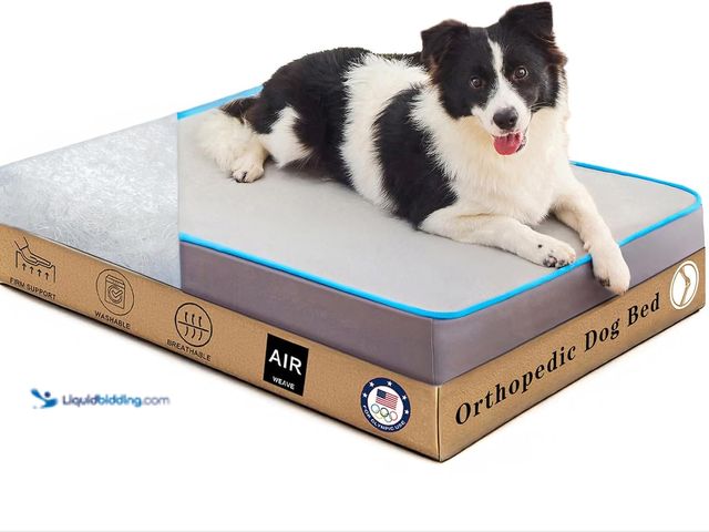 Lot 49-3528204 - Orthopedic Dog Bed for Large Dogs - Both Removable Cover & Core Washable - Odor Resistant Breathable...