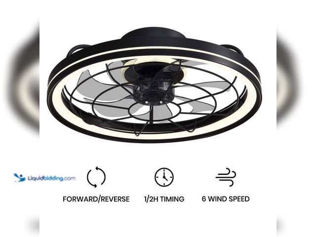 Lot 49-3540037 - WDETR
19 in. Indoor Black Caged Ceiling Fan with Integrated LED Light Modern Farmhouse Flush Mount ...