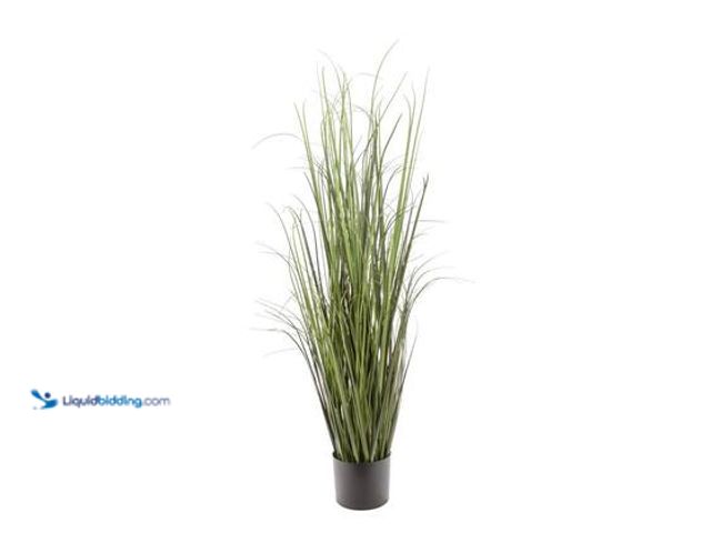 Lot 49-5572029 - NATURAE DÉCOR Artificial 47 in. Black Grass Plant. Model # PLA-GRA-47-1PK. Unused