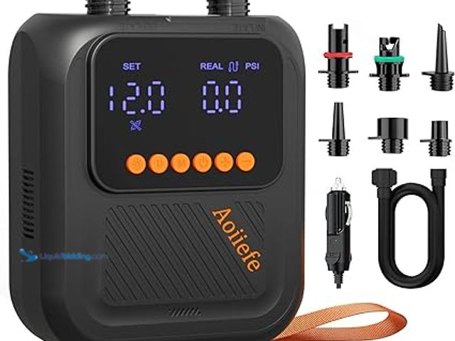 Lot 49-5454264 - Electric Paddle Board Pump, 20PSI SUP pump for Paddleboard,Dual Stage Inflation&Deflation, Auto-Off ...