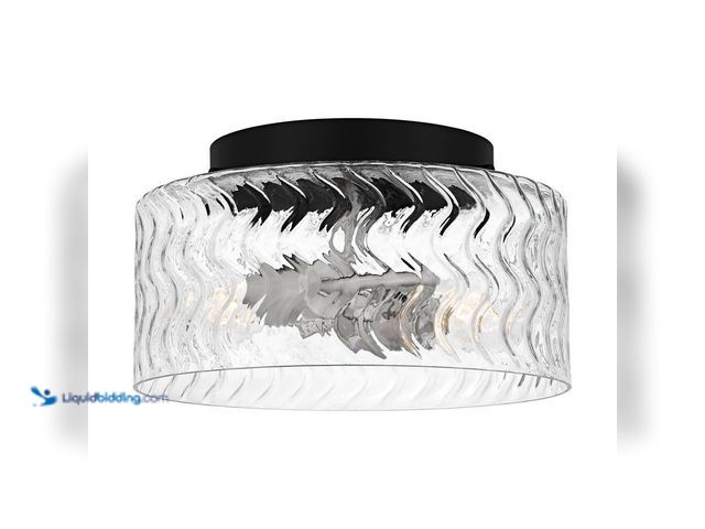 Lot 49-5412956 - DSI LIGHTING
Elara 12 in. 2-Light Matte Black and Brushed Nickel Modern Flush Mount with Clear Text...