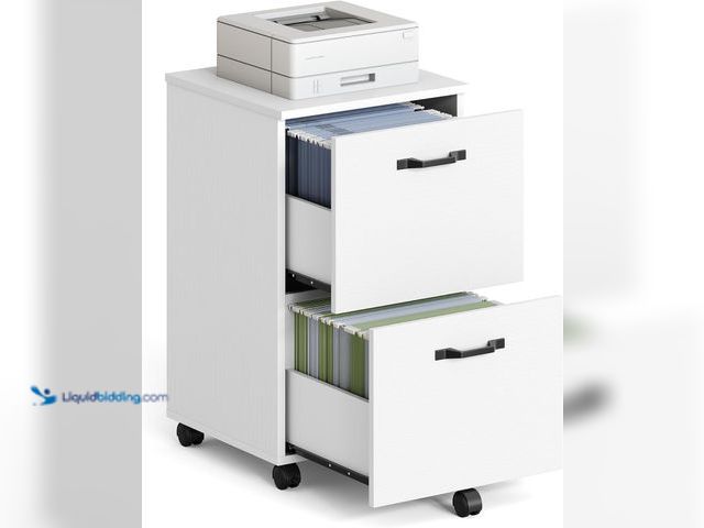Lot 49-5406155 - VASAGLE 2-Drawer File Cabinet, Small Rolling Filing Cabinet for Home Office, Printer Stand, for A4, ...