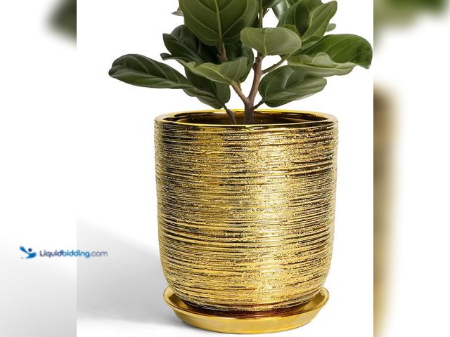 Lot 49-3565815 - Ceramic Flower Pot for Indoor Plants - 10 Inch Plant Pot with Drainage Hole and Saucer, Decorative R...