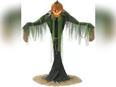 Lot 49-3515869 - undefined