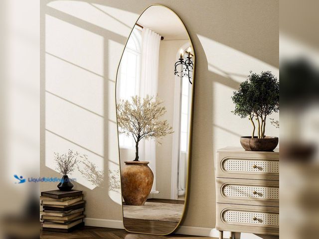 Lot 49-5413333 - XRAMFY
Gold 24 in. W x 67 in. H Irregular Modern Aluminum Alloy Framed Full Length Mirror Floor Mir...