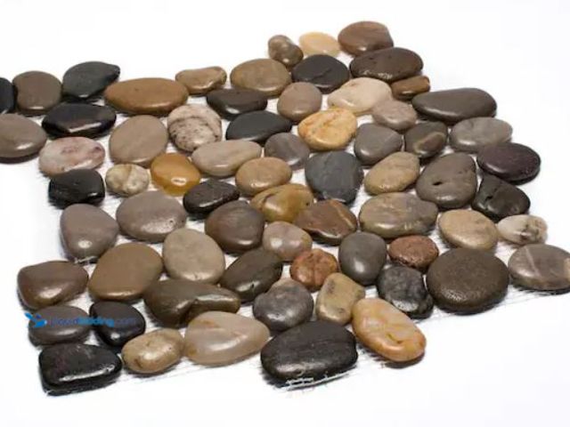 Lot 49-3614873 - APPROX. (5 sq/ft) of Rain Forest 12 in. x 12 in. Mixed Mid-Polish Pebble Stone Floor and Wall Tile (...