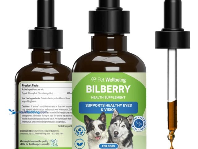 Lot 49-1516707 - (12) Pet Wellbeing Bilberry for Dogs - Organic Herb, Supports Eye Health, Antioxidant-Rich, Healthy ...