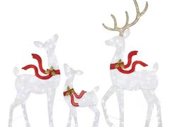 Lot 49-1541771 - undefined