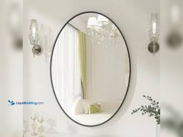 Lot 49-3536844 - XRAMFY 20 in. x 28 in. Oval Black Classic Aluminum Alloy Framed Wall Mirror. Model # BMOA2028. Unuse...