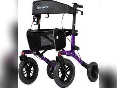 Lot 49-3520606 - undefined