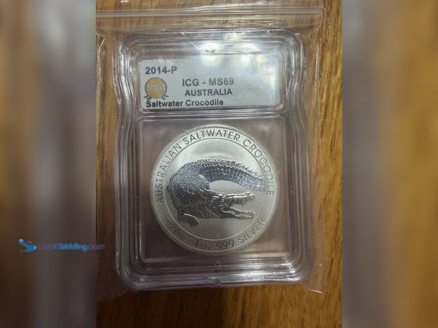 Lot 49-1975109 - 1 2014 1 OZ Silver