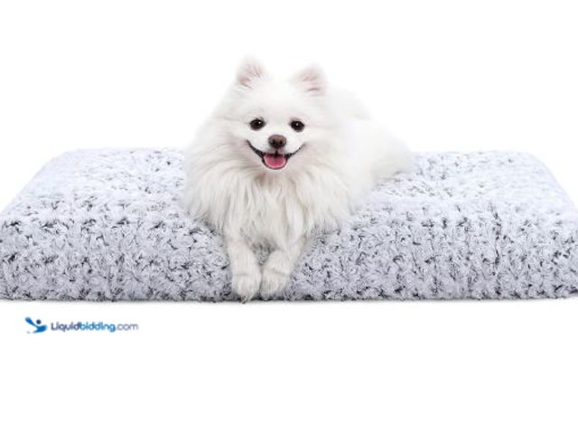 Lot 49-3473778 - Lot of (2) Washable Dog Bed Deluxe Plush Dog Crate Beds Comfy Kennel Pad Anti-Slip Pet Sleeping Mat ...