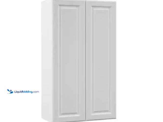 Lot 49-1630936 - Hampton Bay Designer Series Elgin 24 in. W x 12 in. D x 42 in. H Assembled Raised Panel Wall Kitchen...