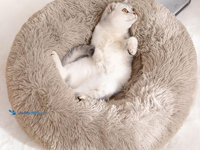 Lot 49-1516793 - Cat Bed for Indoor Cats and Small Medium Dogs - Washable 20/24 Inches, Round Fluffy Plush Faux Fur, ...